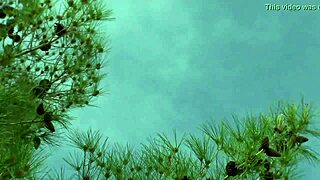 Oakland Couple Seeks Next 3some Adventure