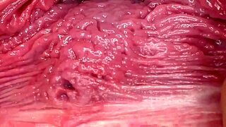 Time for passionate breeding sex.