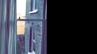 yo, check naughty lovers flashing and banging with big black cock in london