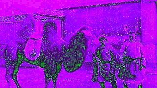 dark lantern entertainment presents vintage lesbian scene in the dragonfly