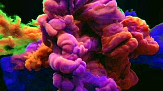 releasing bus anger by masturbating in public