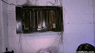 Asian Slave Anal Fucked!