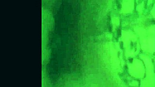 Compilation of teen sucking monster cock, creampie, and orgasm cumshots 😍