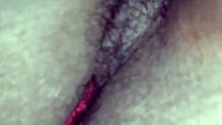 Fat hairy pussy on display