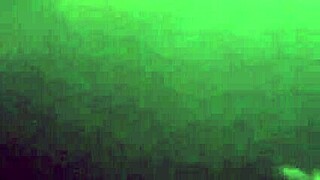 Wickedphoenix Update 1 - Img 2799 - Jun 01 2024