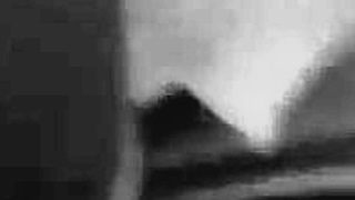 mr cunnlingus and lil pound cake fuckabration