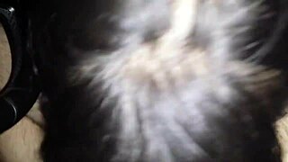 Blowjob in Car with Serbian Hooker! Damn, That’s Wild!