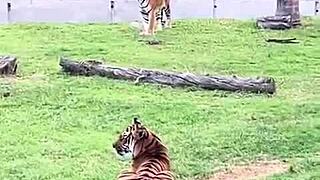 mexico trip recap with clothes ripped