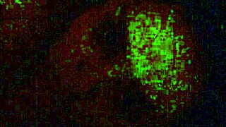 i feel that latina sucking me so good with her blowjob skills