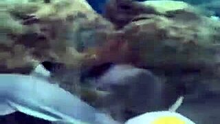 mexico trip recap with clothes ripped