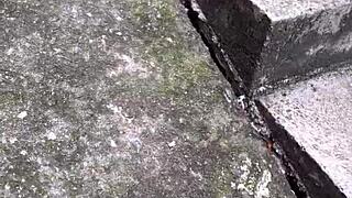 Patricinha da buceta rosa subindo o morro louca de tesão pra dar a bucetinha 😈