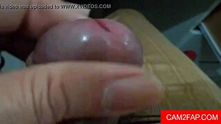 Solo Man Teases His Pussy In Free Porn Video