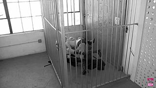 Two Blonde Lesbians Eat Each Other Out At Work After Making Out