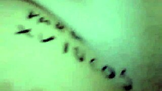 Jessy, My Favorite Slut, Stars In Lesbian Swingers Group Scene