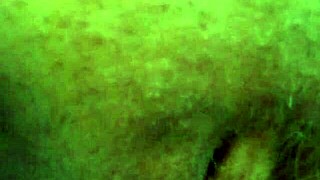 Gretala - Pissing And Water - Jun 25 2025