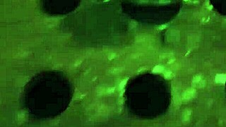 Rana Receives Facial Fuck And Cumshot Given By Hand With Gloves.