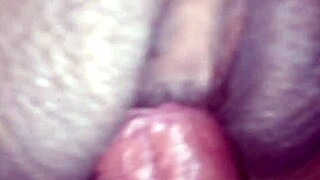 why did i lend my ass to my husband's friend?