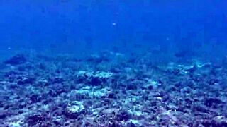 Time to Philosophize! Show Off the Biggest Toy Ever!