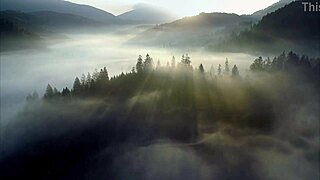 Fantasy Baremaidens Campire Cosplay in Public Show