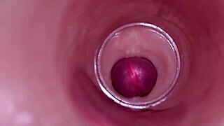 Female Insemination - Internal Camera Captures Deep Male Ejaculation