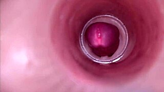 Female Insemination - Internal Camera Captures Deep Male Ejaculation
