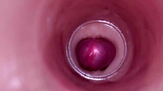 Female Insemination - Internal Camera Captures Deep Male Ejaculation