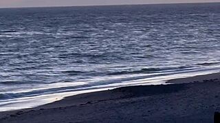 Blonde pornstar flaunts her bubble butt at the beach party.