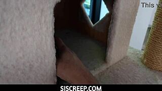 i've got somethin' in my pants to help claire roos taboo creampie pov