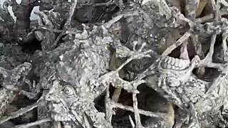 45 year old busty mom gets fucked in missionary with creampie