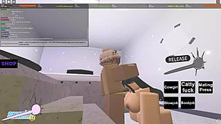 Two Roblox porn compilations for 18+