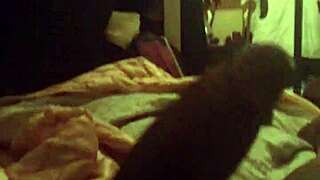 Big cock shemale jerks off in solo session