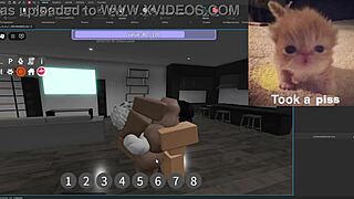 Psc V3 0 Condo Showcase With Silly Activities