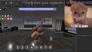 Psc V3 0 Condo Showcase With Silly Activities