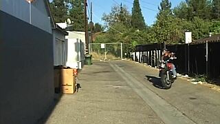 black sluts still fuck best in the ass, part 2