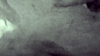 Mrs quinn the disgruntled housewife