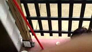 Purpel 349 Blowjob Tease