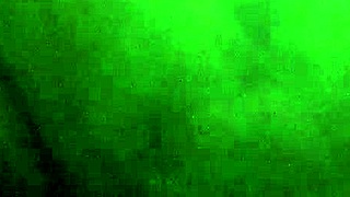 Walking in the woods wearing only a g-string and fishnet stockings, enjoying nature.