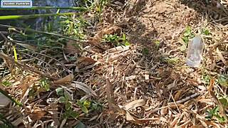 beautiful girl gets double penetration in woods