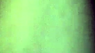 Walking in the woods wearing only a g-string and fishnet stockings, enjoying nature.