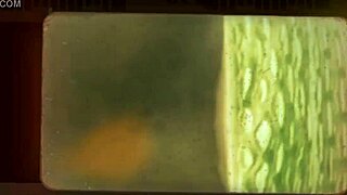 soft white girl admires big black cock