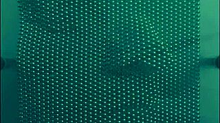 Amateur guy screams noise during pop song in California