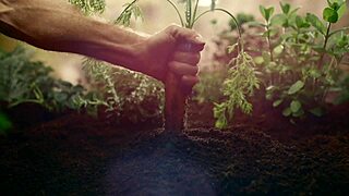 Does girth matter in sex?