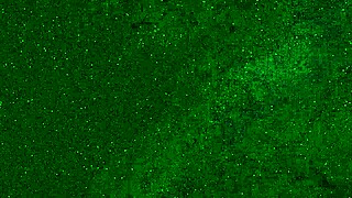 Crazy Girl Pees on Public Beach in Wet Panties