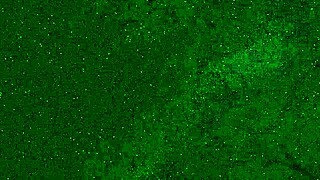 Crazy Girl Pees on Public Beach in Wet Panties