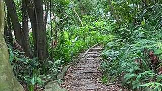 Asian Girl's Thrilling Mountain Exposure