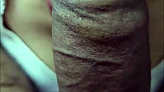 awesome asian wife blowjob ball suck and hard fuck with hindi audio