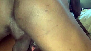 My Videos Compilation