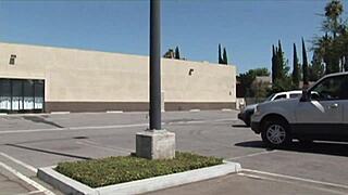 Darien Ross Giving Handjob And Blowjob To Monster Cock.