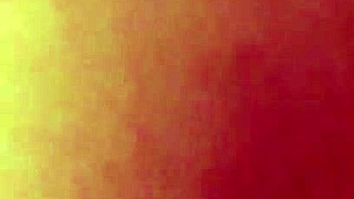 Exciting video captured on December 13, 2017, at 9:27 AM