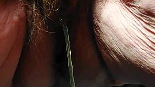 Granny uses cucumber in hairy pussy!